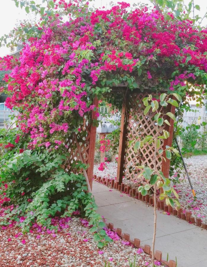 The Red Guest House In Downtown לוס אנג'לס מראה חיצוני תמונה